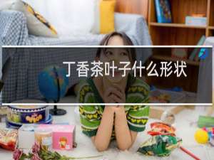 丁香茶叶子什么形状