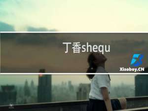 丁香shequ