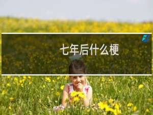 七年后什么梗