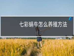 七彩蜗牛怎么养殖方法