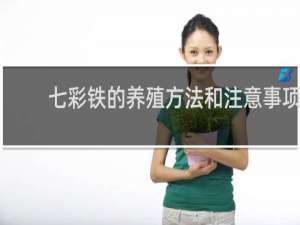 七彩铁的养殖方法和注意事项