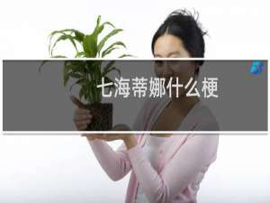 七海蒂娜什么梗