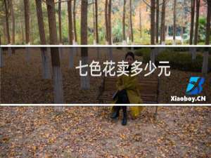 七色花卖多少元