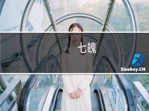 【七魄：单职业】免费七魄：单职业软件下载
