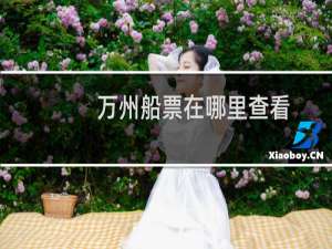 万州船票在哪里查看