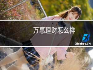 万惠理财怎么样