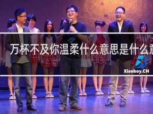 万杯不及你温柔什么意思是什么意思