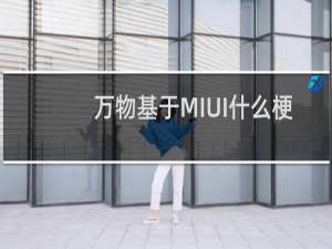 万物基于MIUI什么梗
