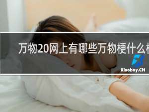 万物 网上有哪些万物梗什么梗