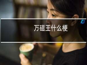 万磁王什么梗
