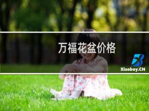 万福花盆价格
