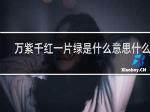万紫千红一片绿是什么意思什么梗