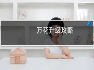 万花升级攻略