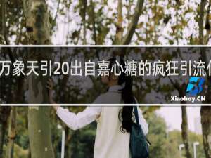 万象天引 出自嘉心糖的疯狂引流什么梗