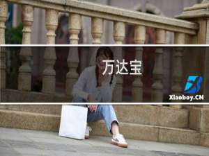 万达宝