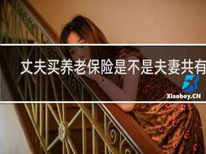 丈夫买养老保险是不是夫妻共有的