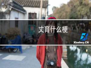 丈育什么梗