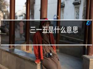 三一五是什么意思