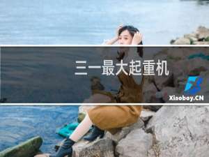 三一最大起重机