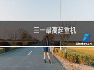 三一最高起重机