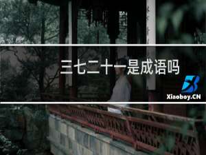 三七二十一是成语吗