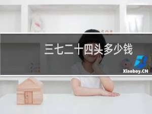 三七二十四头多少钱