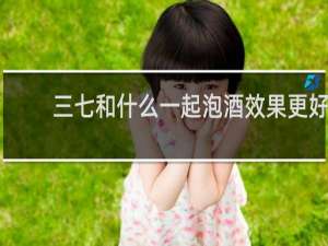 三七和什么一起泡酒效果更好