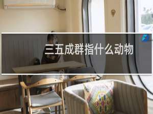 三五成群指什么动物