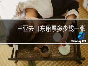 三亚去山东船票多少钱一张