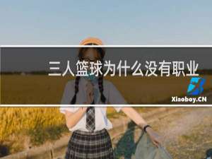 三人篮球为什么没有职业球员