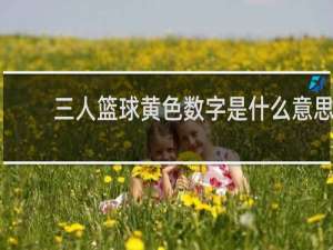 三人篮球黄色数字是什么意思