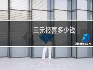 三元报喜多少钱