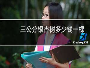 三公分银杏树多少钱一棵