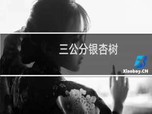 三公分银杏树