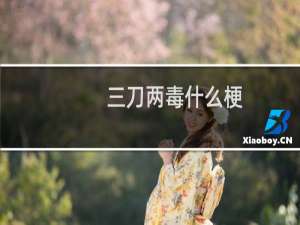 三刀两毒什么梗