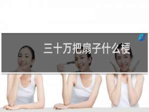三十万把扇子什么梗？什么梗