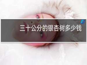 三十公分的银杏树多少钱