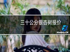 三十公分银杏树报价