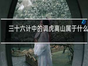 三十六计中的调虎离山属于什么计