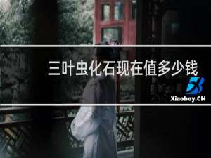 三叶虫化石现在值多少钱