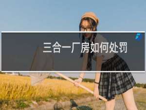 三合一厂房如何处罚