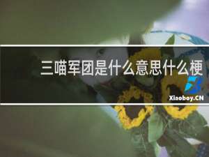三喵军团是什么意思什么梗