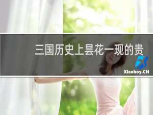 三国历史上昙花一现的贵族女人