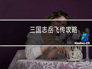 三国志岳飞传攻略