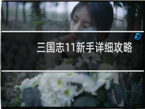 三国志11新手详细攻略