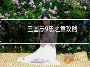 三国志9忠之章攻略