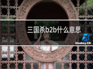 三国杀b2b什么意思