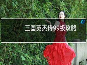 三国英杰传99级攻略