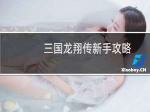 三国龙翔传新手攻略