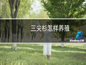 三尖杉怎样养殖